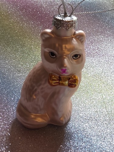 Katze mit schleife - katze,